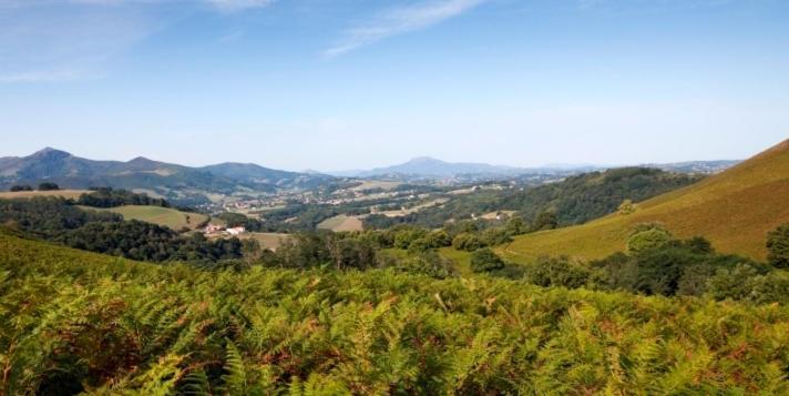 Le Domaine Du Levant 호텔 캄보레방 외부 사진